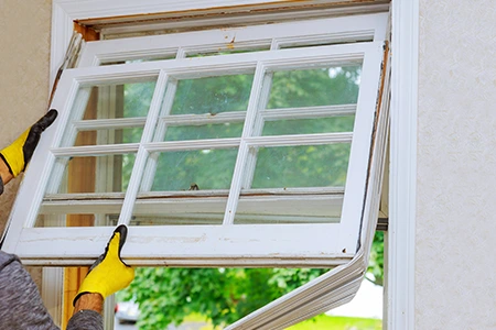 Window Replacement in Golden Gate, FL