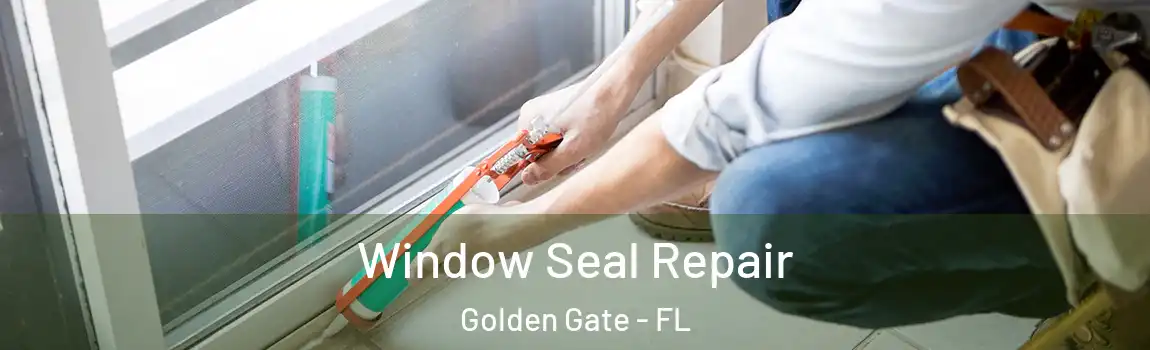  Window Seal Repair Golden Gate - FL